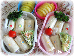 0511obento1.jpg